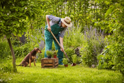 Gardener speaking with a homeowner in a Ruislip garden, accessible visit setup