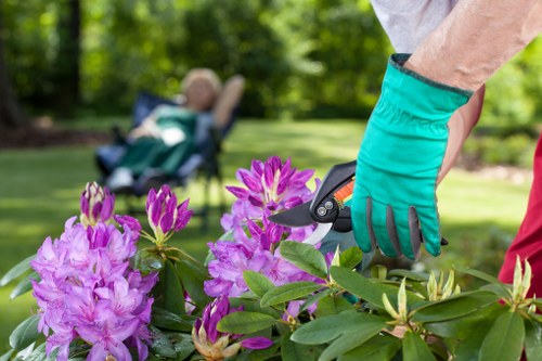 Professional garden maintenance services in Ruislip