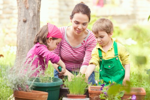 Eco-friendly tree maintenance practices by arborists