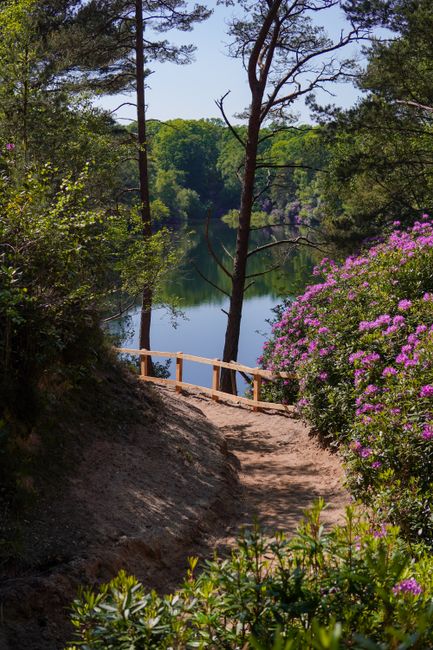 An aerial view of a lakeside garden featuring a large grassy area bordered by a curved pathway that runs along the water's edge. There is a small pier extending into the lake, with lush green trees an
